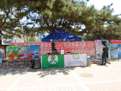 瓶艺空间节能环保活动圆满结束